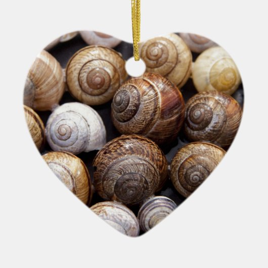 Muscheln Keramik Ornament (Vorne)