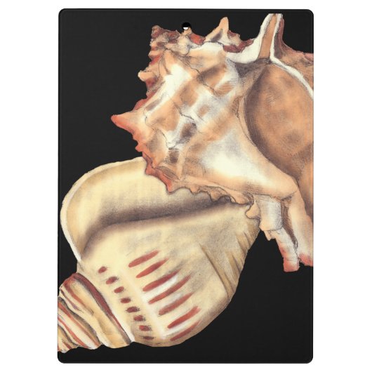 Muscheln Klemmbrett (Rückseite)