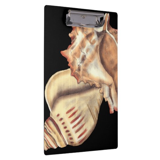 Muscheln Klemmbrett (Rechts)