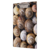 Muscheln Klemmbrett (Links)