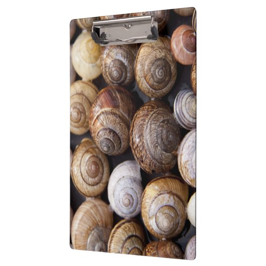 Muscheln Klemmbrett (Links)