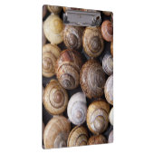 Muscheln Klemmbrett (Rechts)