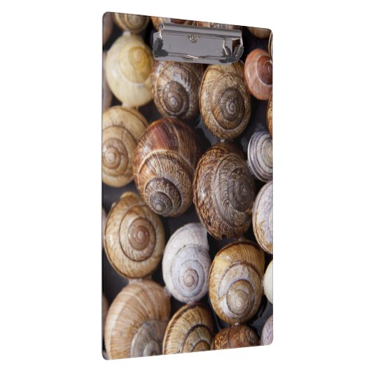 Muscheln Klemmbrett (Rechts)