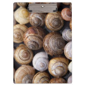 Muscheln Klemmbrett (Vorderseite)
