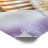 Muscheln Korallenuntergrund Poster (Ecke)
