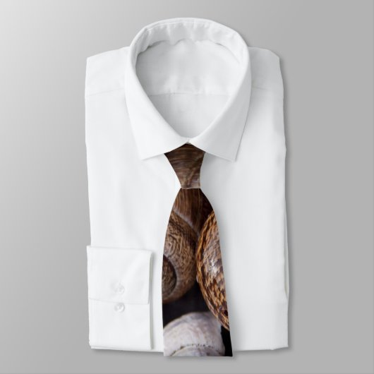 Muscheln Krawatte (Gebunden)