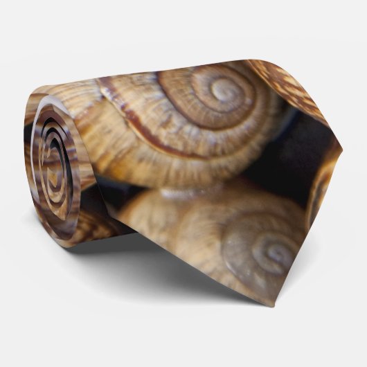 Muscheln Krawatte (Gerollt)
