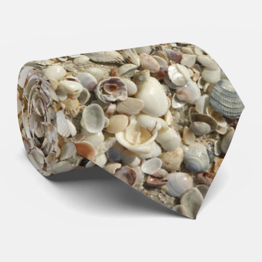 Muscheln Krawatte (Gerollt)