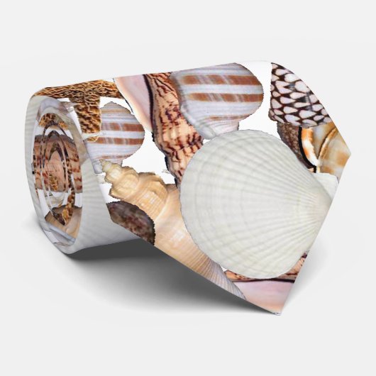 Muscheln Krawatte (Gerollt)