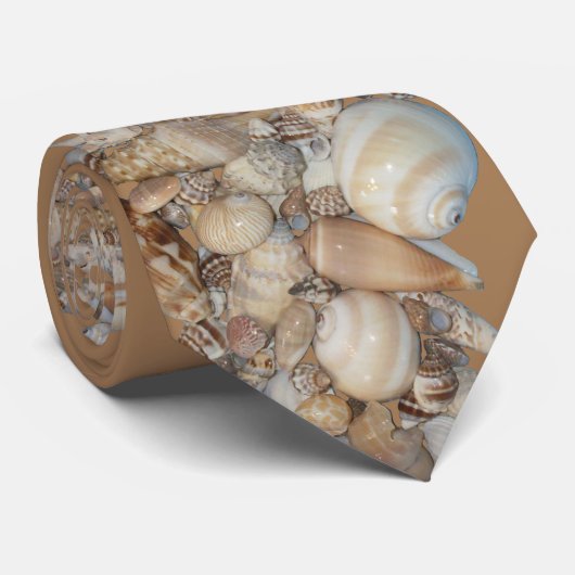 Muscheln Krawatte (Gerollt)