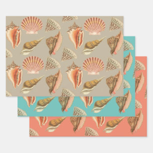 Muscheln künstlerischer Vintager Stil Geschenkpapier Set