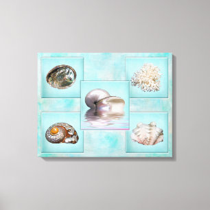 Muscheln-Leinwand-Druck - 5 verschiedene Bilder - Leinwanddruck