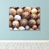 Muscheln Leinwanddruck (Insitu (Holzboden))
