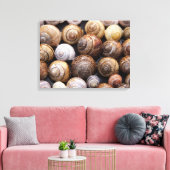 Muscheln Leinwanddruck (Insitu (Wohnzimmer))