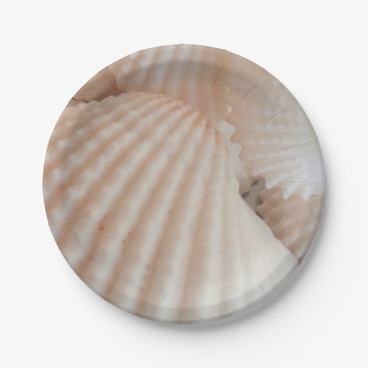 Muscheln Liebe, Summer Beach Picnic, Papiertafel Pappteller (Vorderseite)
