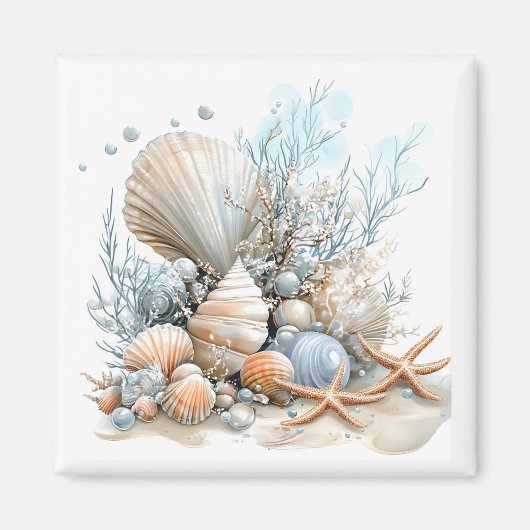 Muscheln Magnet (Vorne)