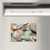 Muscheln Magnet (In Situ (Geschirrspüler))