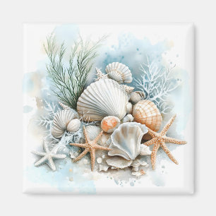 Muscheln Magnet