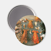 Muscheln Magnet (Vorderseite/Rückseite)