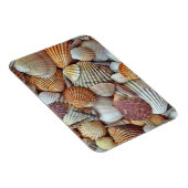 Muscheln Magnet (Rechte Seite)