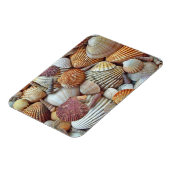 Muscheln Magnet (Linke Seite)