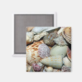 Muscheln Magnet (Vorderseite/Rückseite)