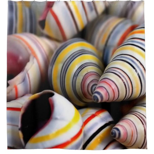 Muscheln mit Duschvorhang (Vorderseite)