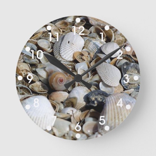 Muscheln-mittlere runde Wand-Uhr Wanduhr (Vorderseite)