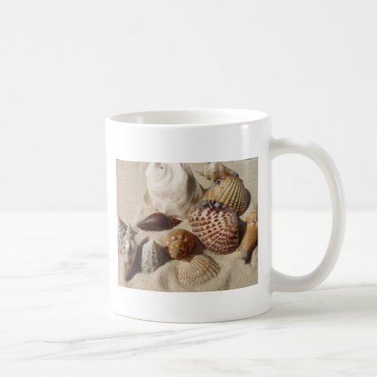Muscheln, Muscheln Kaffeetasse (Rechts)