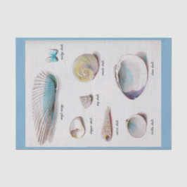 Muscheln-natürlicher Pastell 10" X 15" Seidenpapier