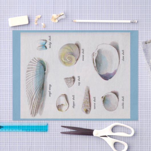 Muscheln-natürlicher Pastell 10" X 15" Seidenpapier (Handwerk)