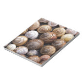 Muscheln Notizblock (Rotiert)