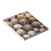 Muscheln Notizblock (angewinkelt)
