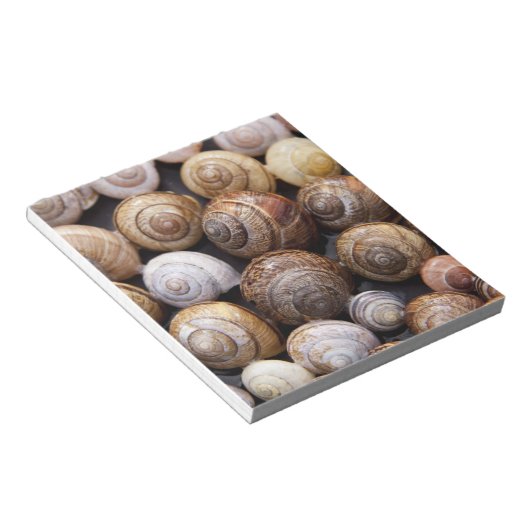 Muscheln Notizblock (angewinkelt)