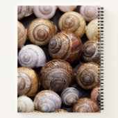 Muscheln Notizblock (Rückseite)