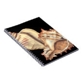 Muscheln Notizblock (Rechte Seite)