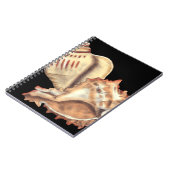 Muscheln Notizblock (Linke Seite)