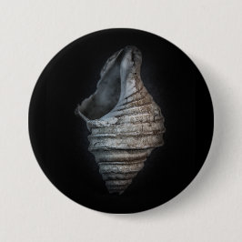 Muscheln Nr. 6 Farbversion Button