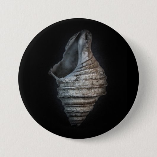 Muscheln Nr. 6 Farbversion Button (Vorderseite)