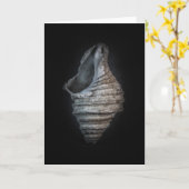 Muscheln Nr. 6 Farbversion Karte (Gelbe Blume)