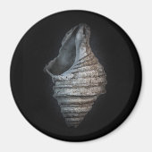 Muscheln Nr. 6 Farbversion Magnet (Vorne)