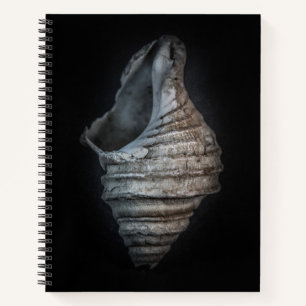 Muscheln Nr. 6 Farbversion Notizblock