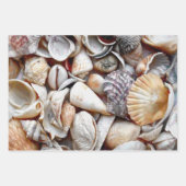 Muscheln Ocean Beach Schöne Dekoration Geschenkpapier Set (Vorderseite 3)