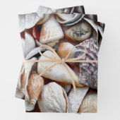 Muscheln Ocean Beach Schöne Dekoration Geschenkpapier Set (Beispiel)