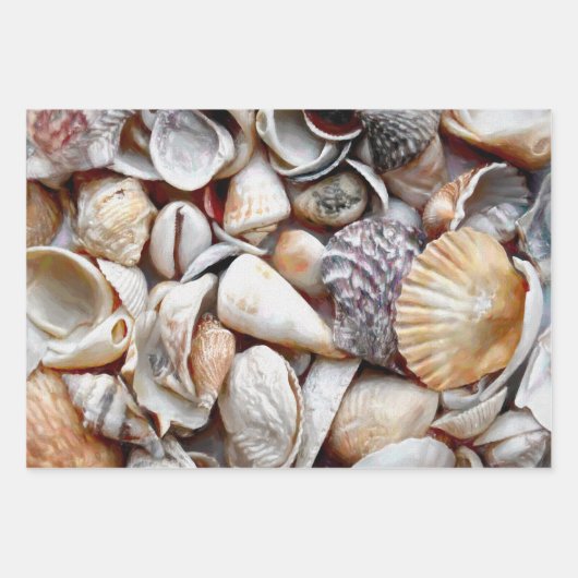 Muscheln Ocean Beach Schöne Dekoration Geschenkpapier Set (Vorderseite)