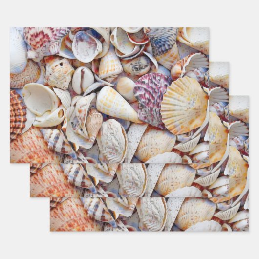Muscheln Ocean Beach Wasserfarbendekoutierung Geschenkpapier Set (Set)