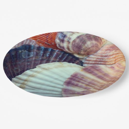 Muscheln Papierplatte Pappteller (Schrägansicht)