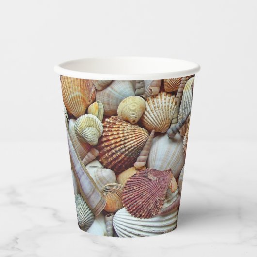 Muscheln Pappbecher (Vorderseite)