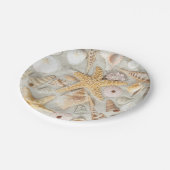 Muscheln Pappteller (Schrägansicht)