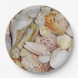 Muscheln Pappteller